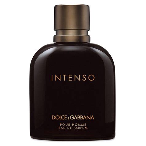 dolce gabbana pour homme 100ml|dolce and gabbana intenso fragrantica.